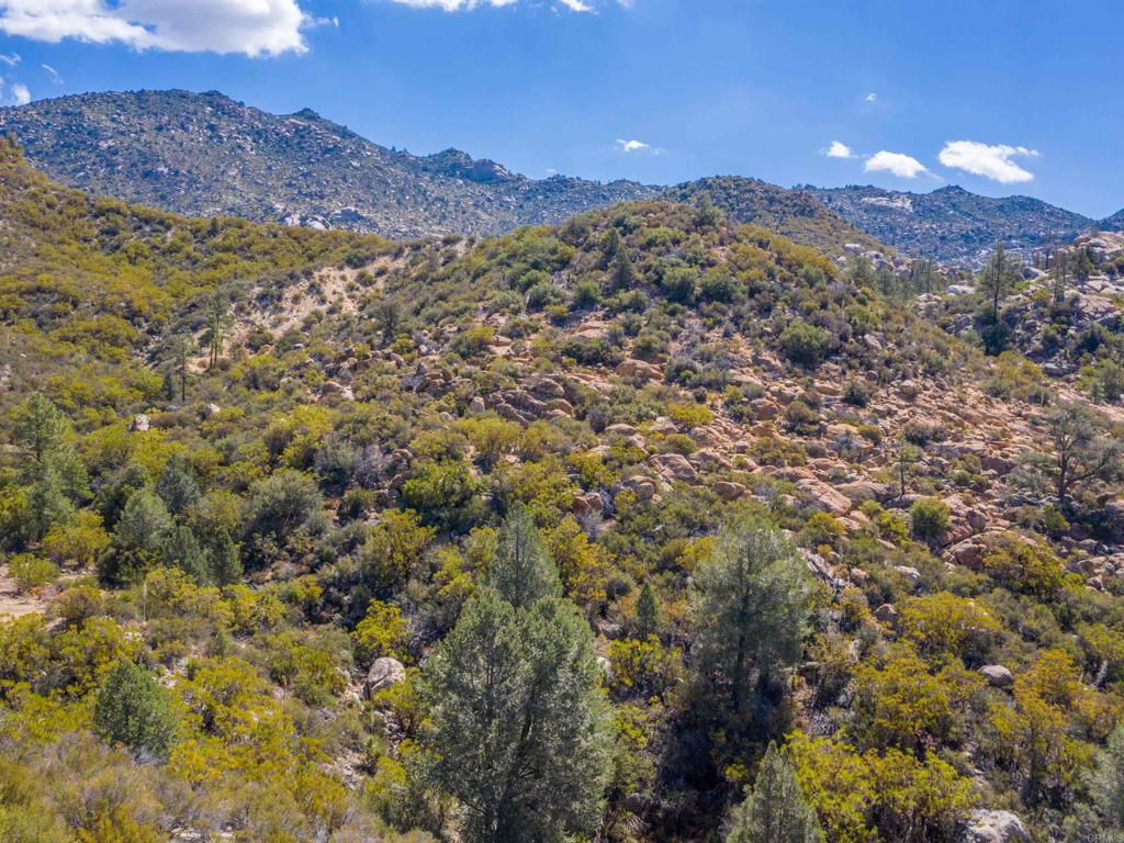 60833 Table Mountain Rd Property Photo 17