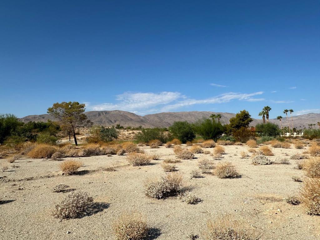0 Roadrunner Drive Property Photo 1