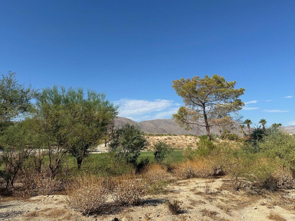0 Roadrunner Drive Property Photo 3