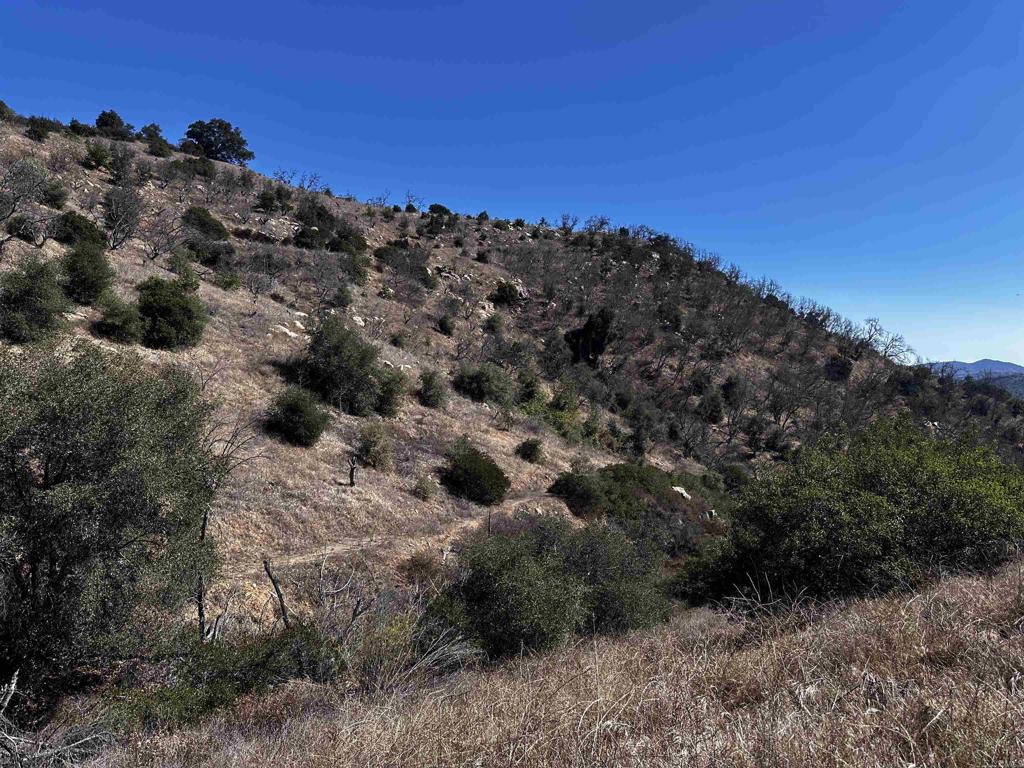 40 Oak Glen Road Property Photo 1