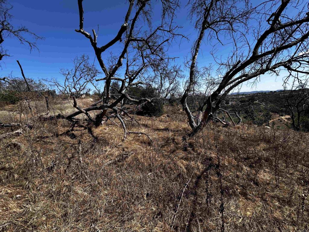 40 Oak Glen Road Property Photo 16