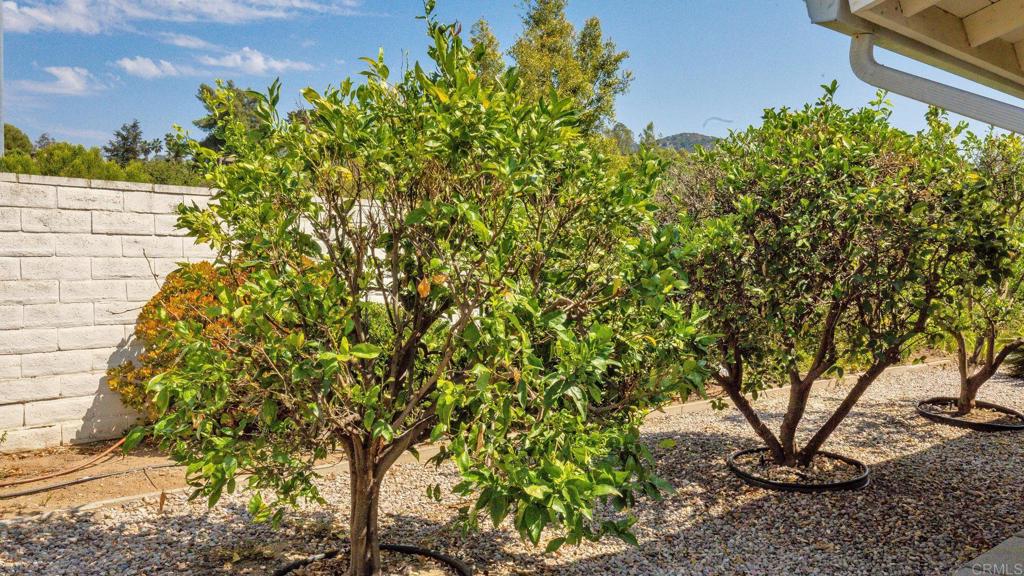 16327 Gabarda Road Property Photo 23