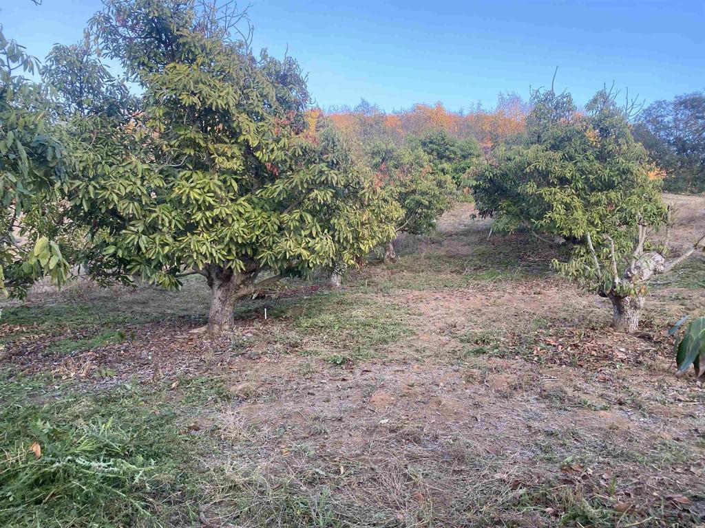 1313 Rice Canyon Rd Property Photo 6