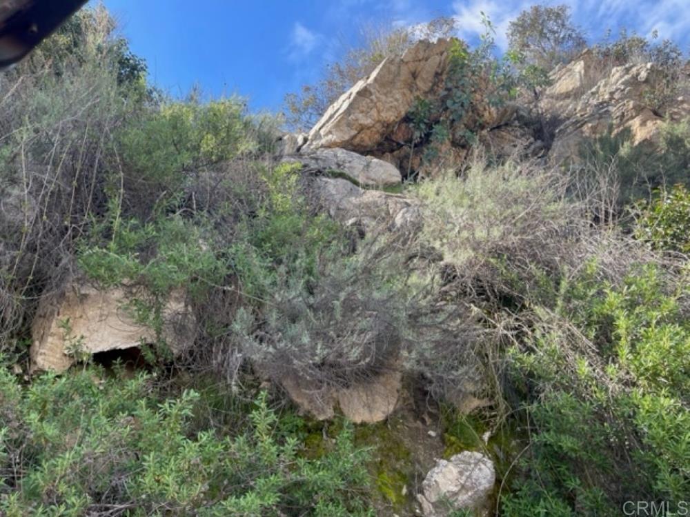 36353 Carney Road Property Photo 19