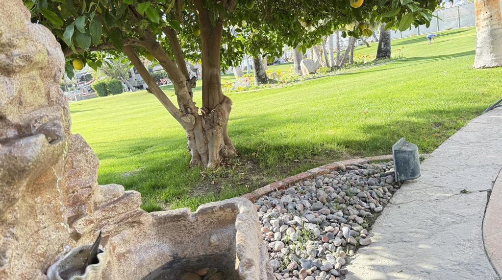 69411 Ramon Rd #1013 Property Photo 5