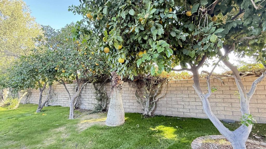 69411 Ramon Rd #886 Property Photo 10