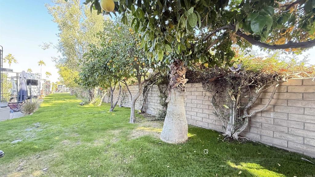 69411 Ramon Rd #886 Property Photo 11