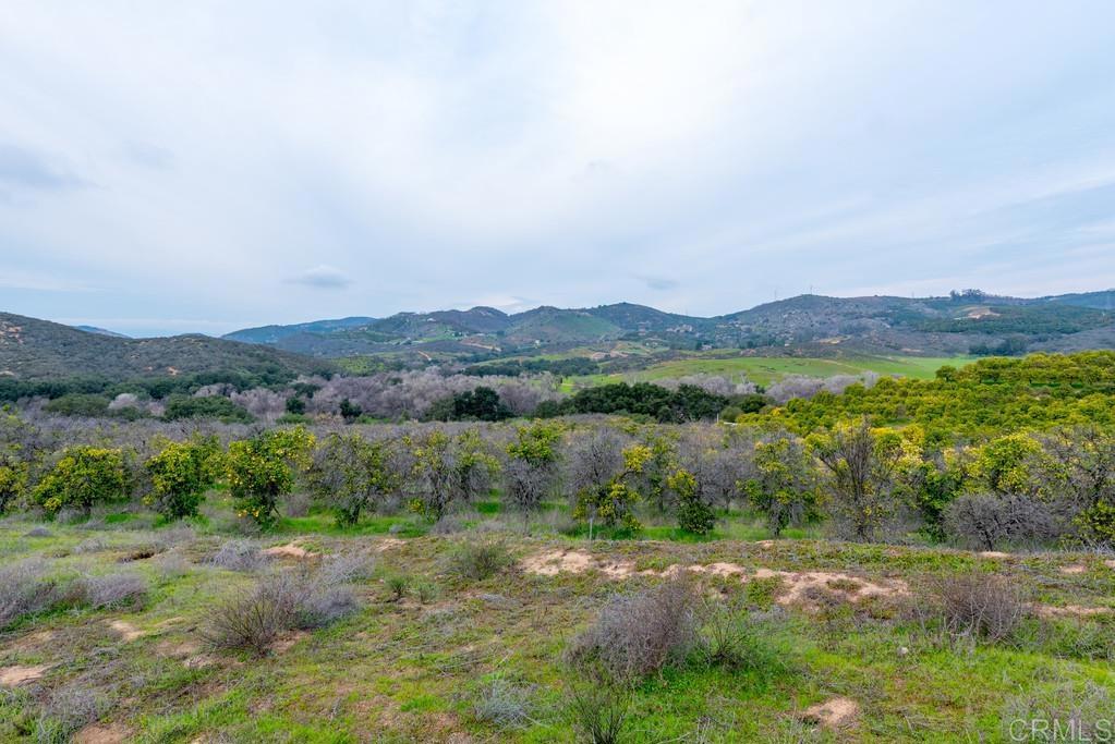 0 Zip Way Property Photo 15