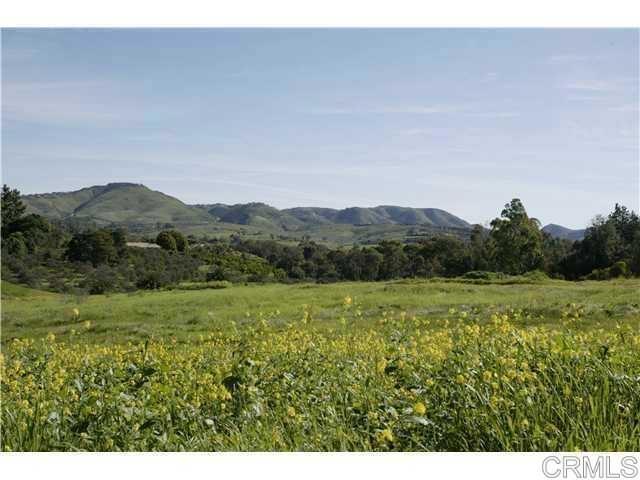 6710 El Montevideo Property Photo 17