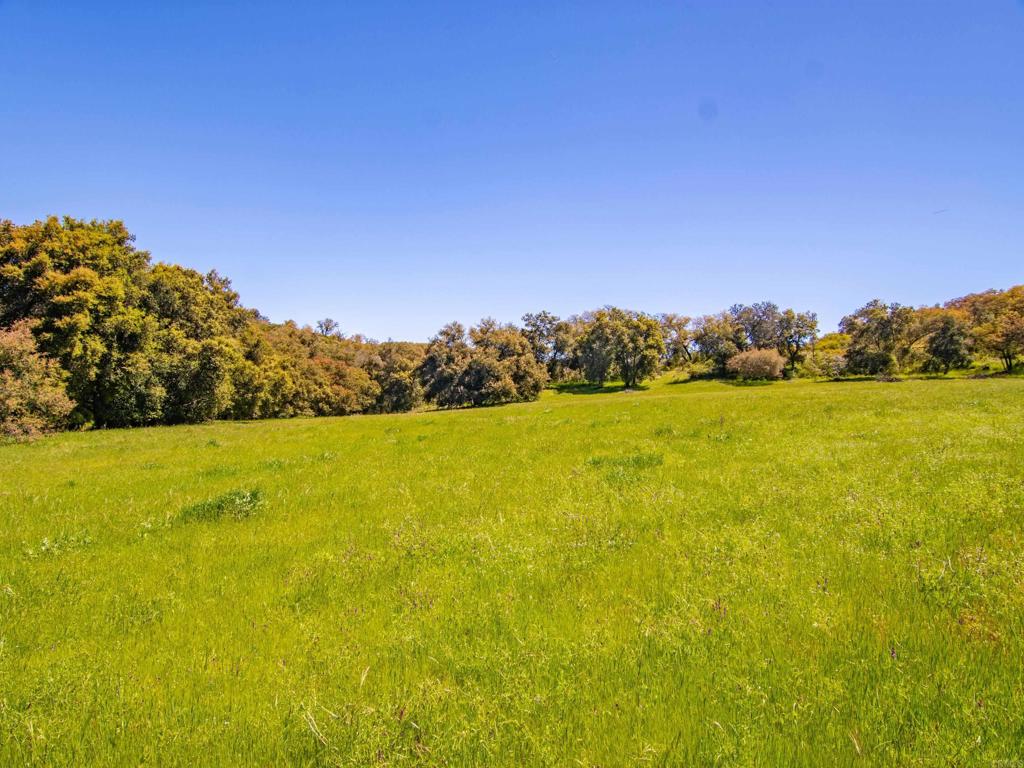 342 Acres Mesa Grande Road Property Photo 5