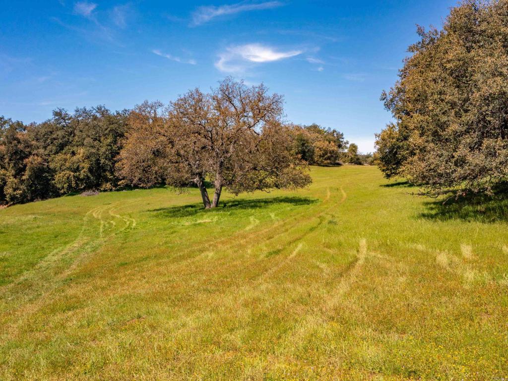342 Acres Mesa Grande Road Property Photo 21
