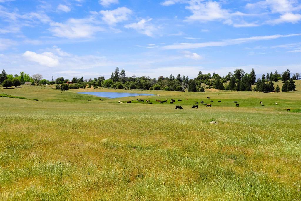 3510 Deer Lake Park Road Property Photo 6