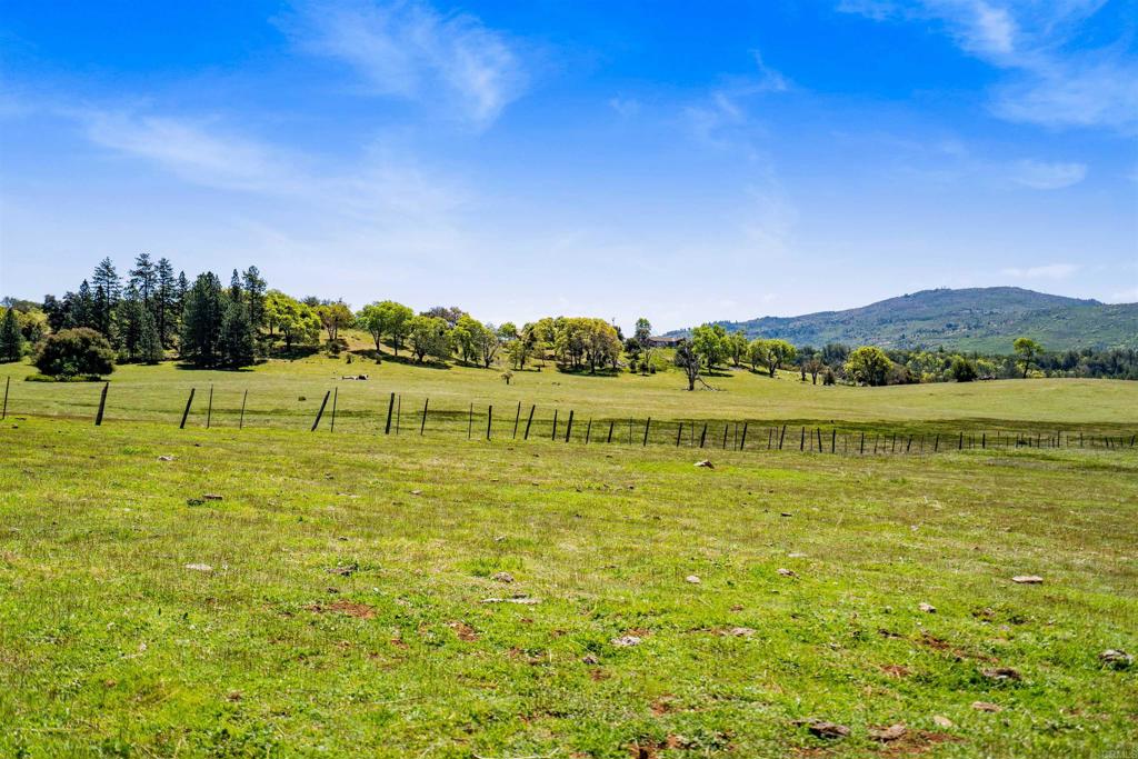 3510 Deer Lake Park Road Property Photo 7
