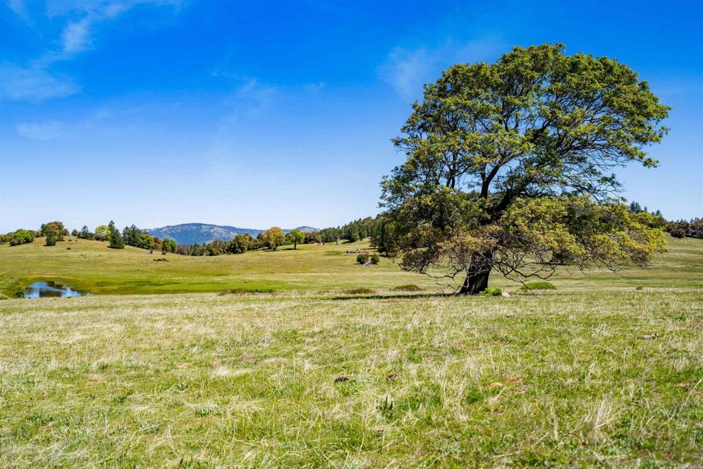 3510 Deer Lake Park Road Property Photo 8