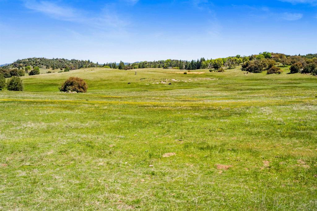 3510 Deer Lake Park Road Property Photo 11