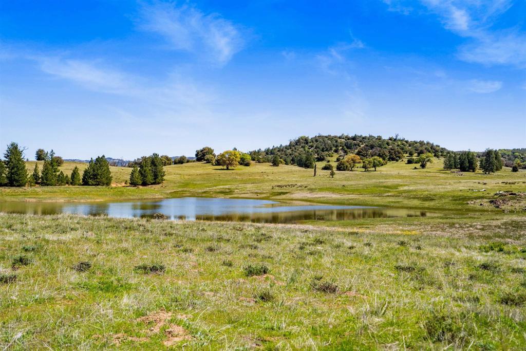 3510 Deer Lake Park Road Property Photo 12