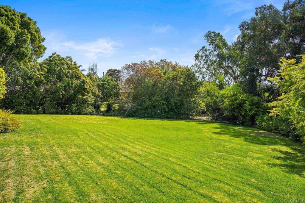 5851 Via De La Cumbre Property Photo 47