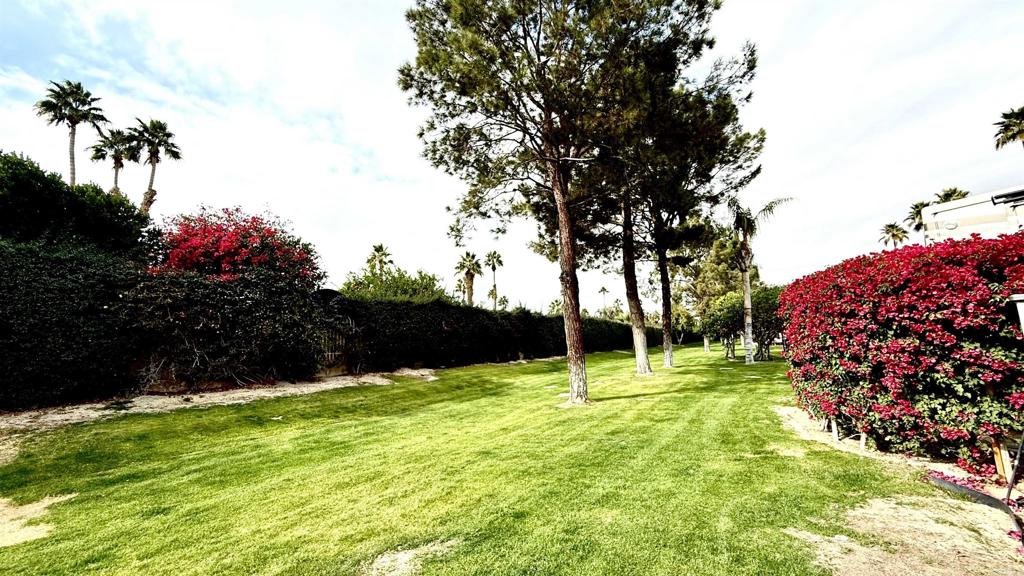 69411 Ramon Rd #643 Property Photo 5