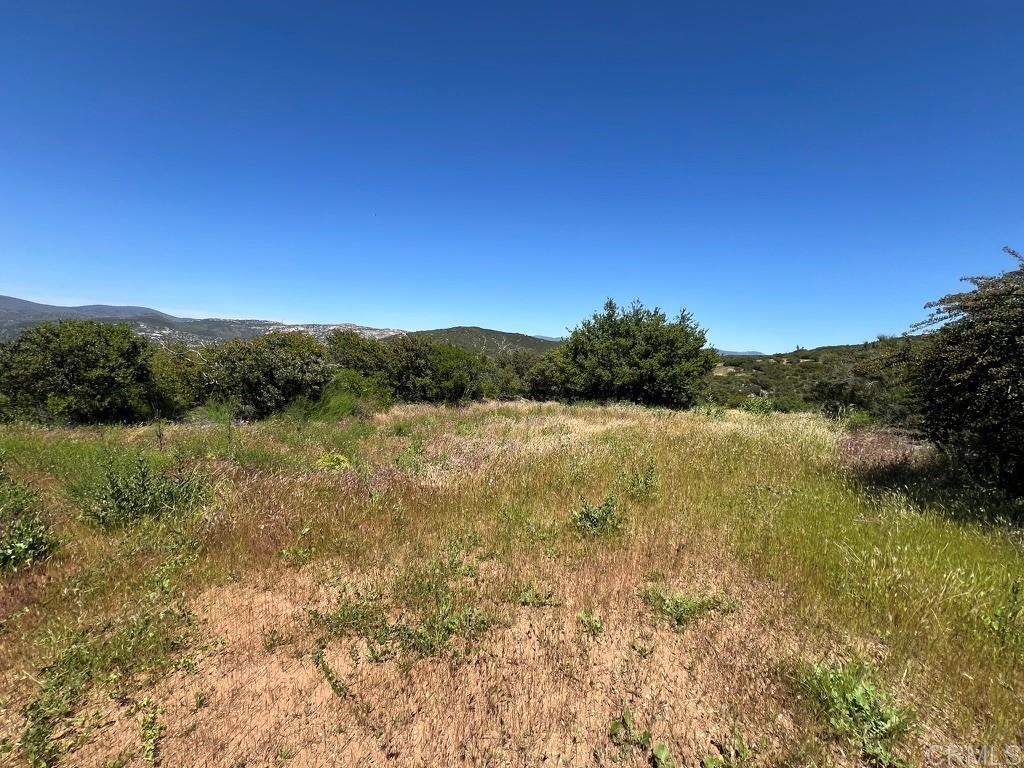 40 Acres Sutherland Dam Road Property Photo 11