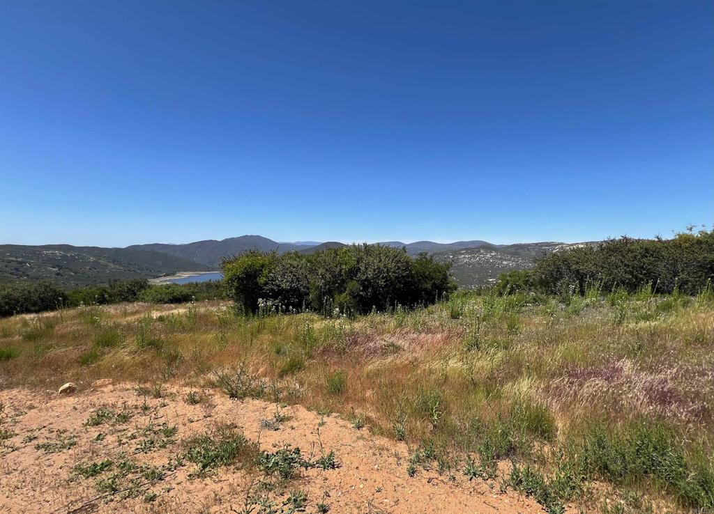 40 Acres Sutherland Dam Road Property Photo 13