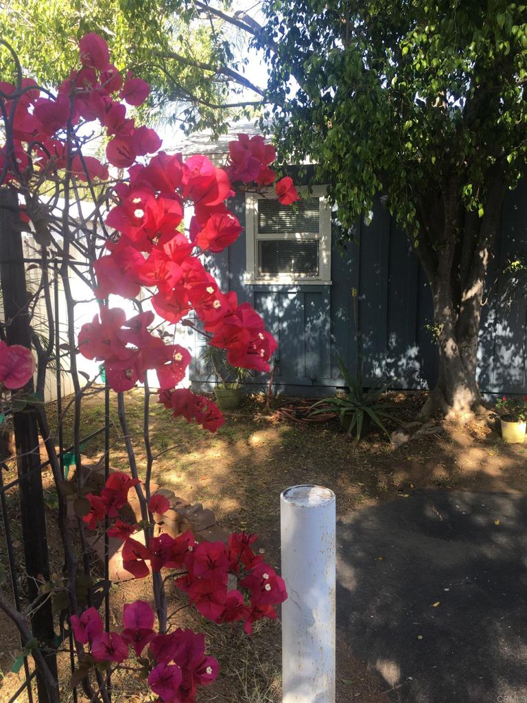 408 N Pico Property Photo 30