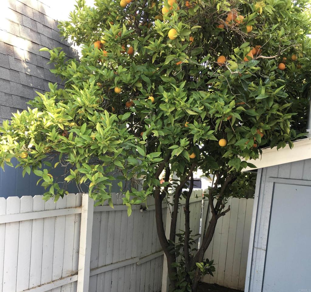408 N Pico Property Photo 32