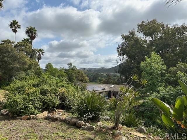 2248 Buena Creek Rd. Property Photo 23