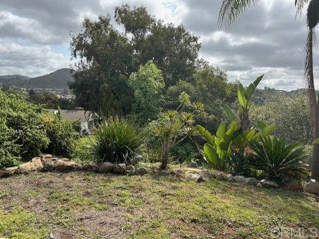 2248 Buena Creek Rd. Property Photo 39