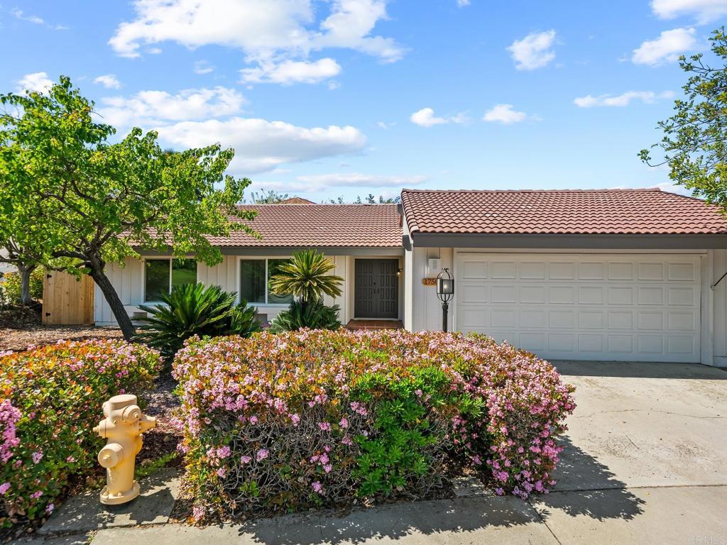 17502 Plaza Dolores Property Photo