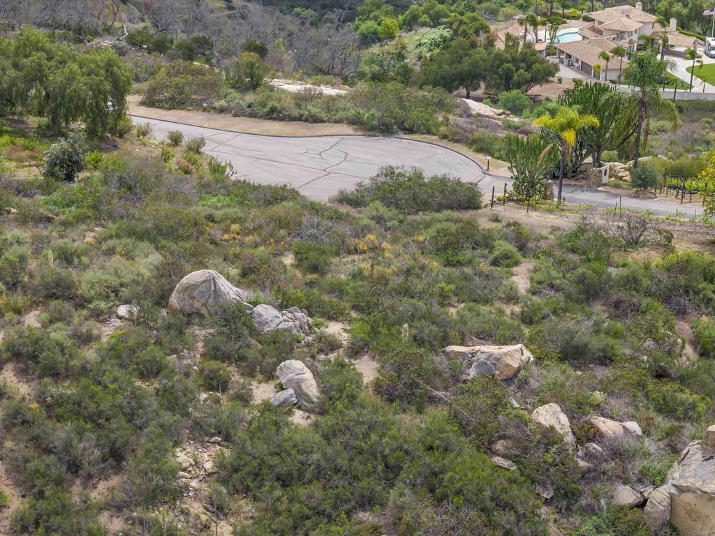 Captains Court Property Photo 22