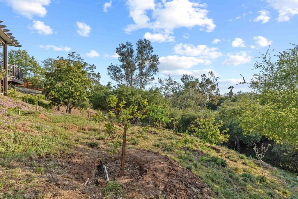 13311 Hillstar Lane Property Photo 33