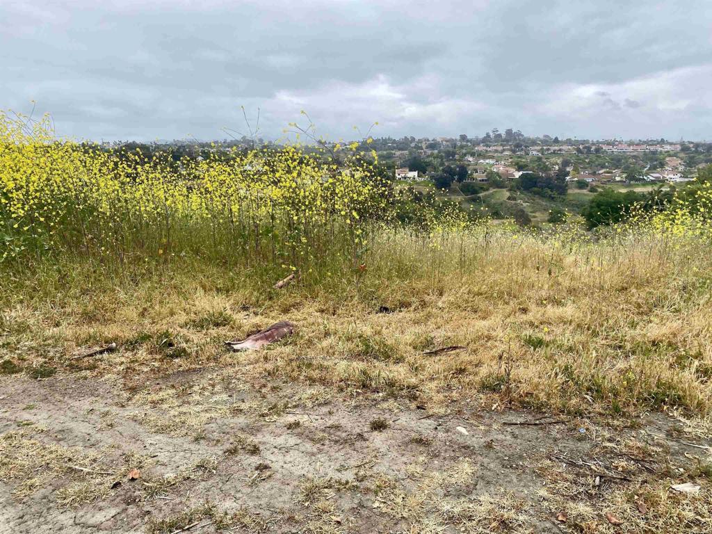 0 Oceanview Road Property Photo 2