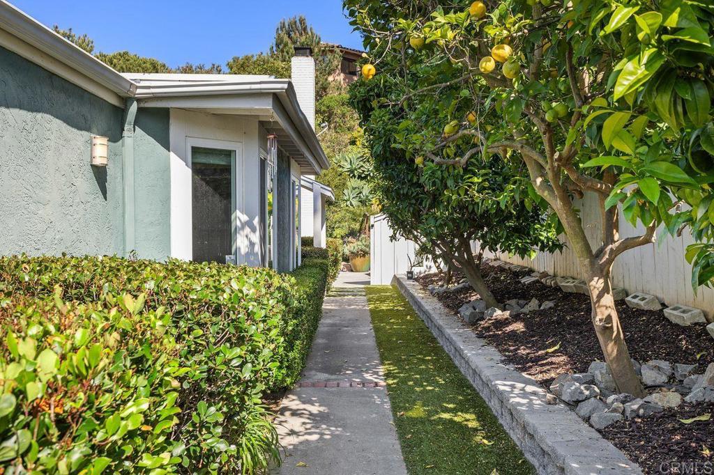 6804 Urubu Street Property Photo 3