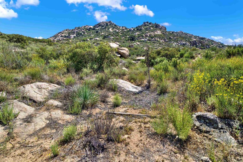 25034 Poderio Dr Property Photo 25