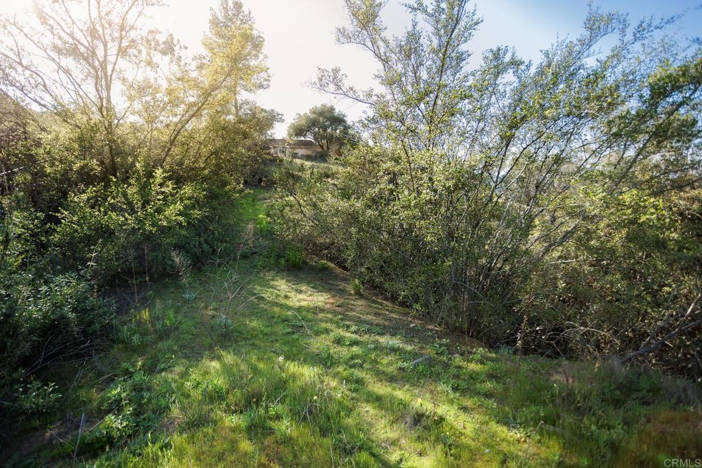 0 Mcnally Road Property Photo 3