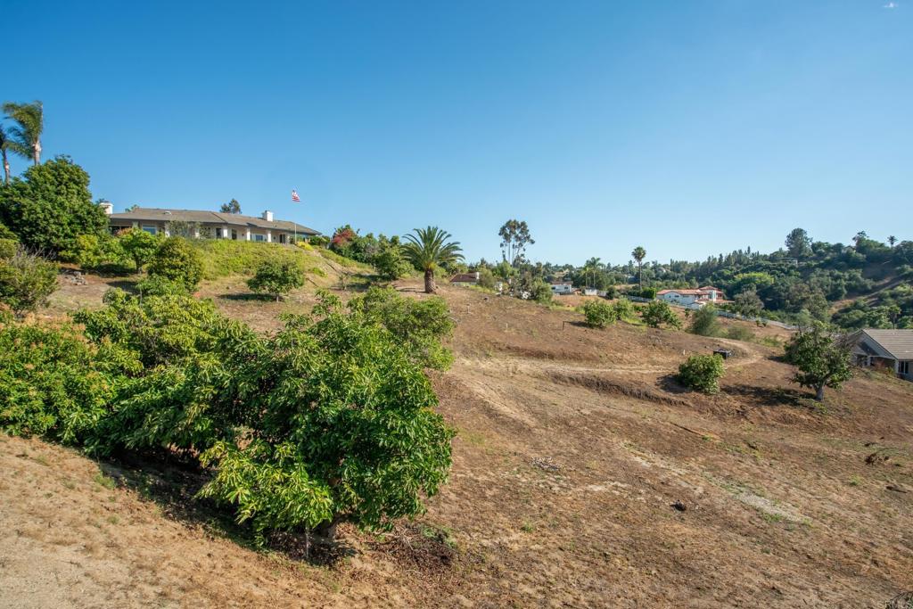 1524 Zutano Lane Property Photo 24