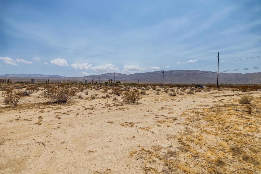 3241 Borrego Valley Rd Property Photo 52
