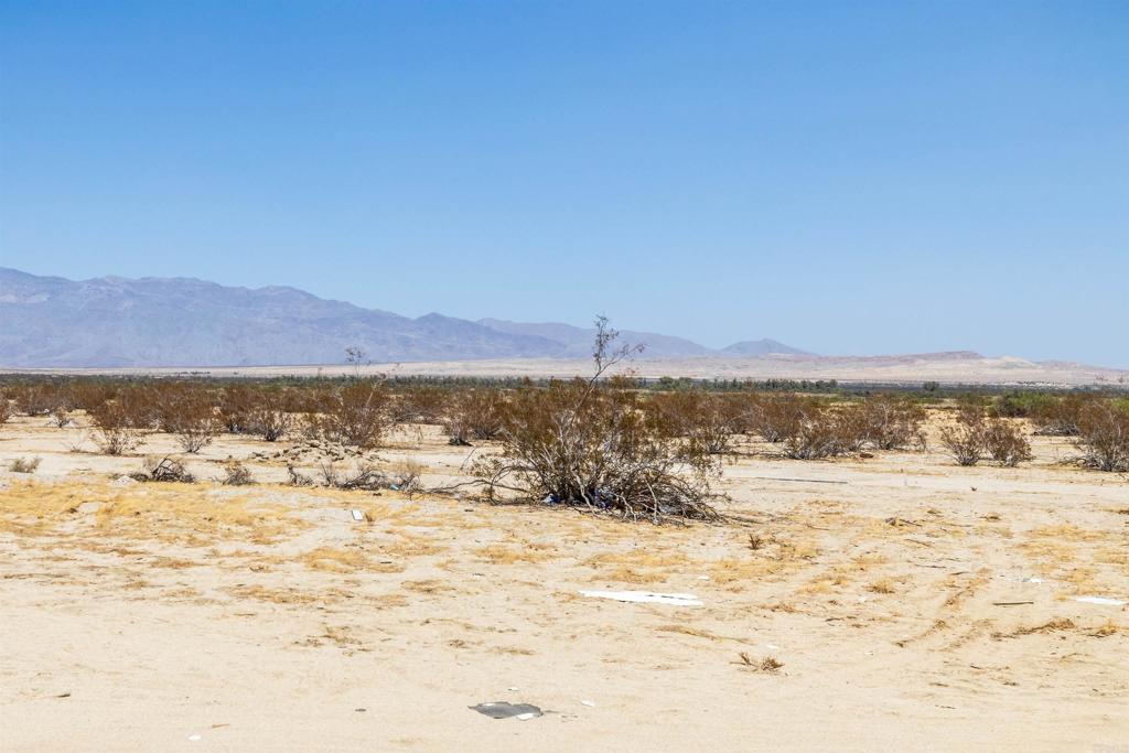 3241 Borrego Valley Rd Property Photo 54