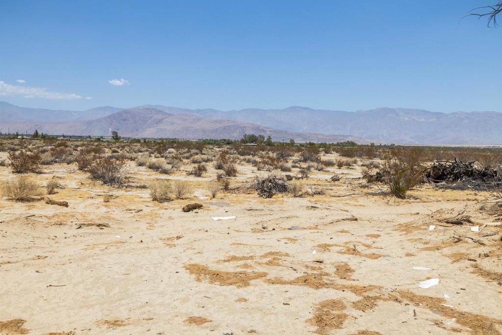 3241 Borrego Valley Rd Property Photo 55