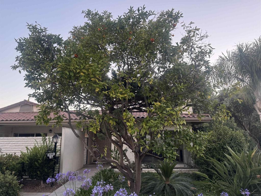 7019 Estrella De Mar Road Property Photo 1