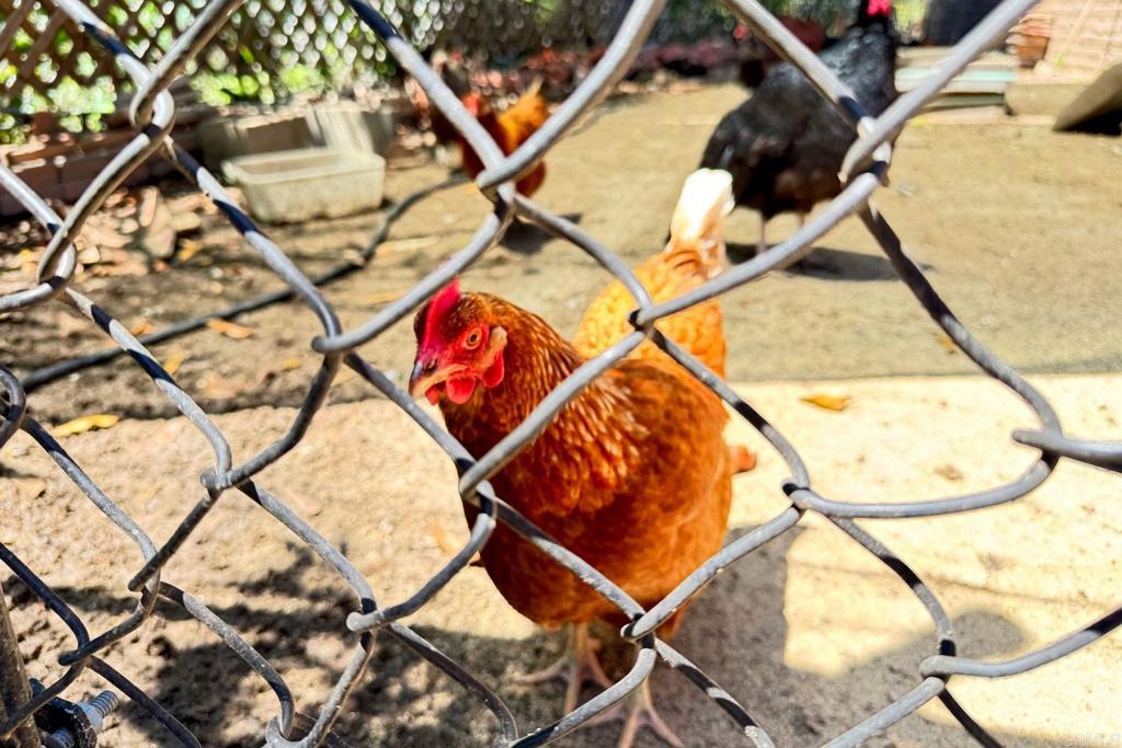 3149 Old Post Rd Property Photo 53