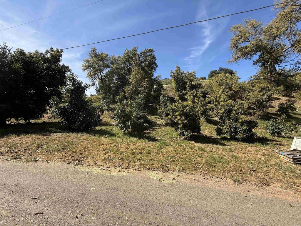 3160 Slivkoff Drive Property Photo 23
