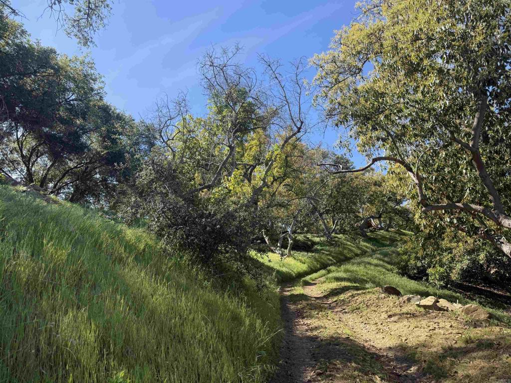3160 Slivkoff Drive Property Photo 24