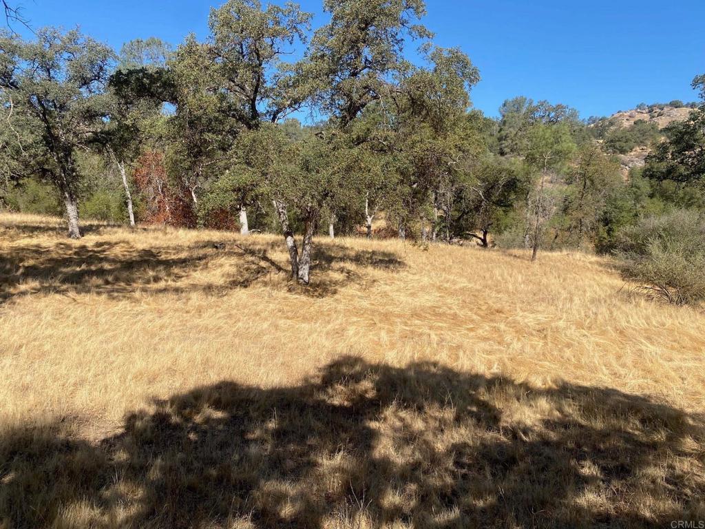 8 Tioga Drive Property Photo 2