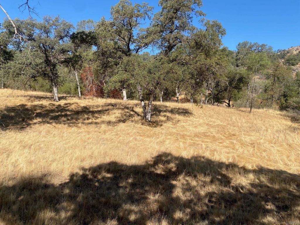 8 Tioga Drive Property Photo 3