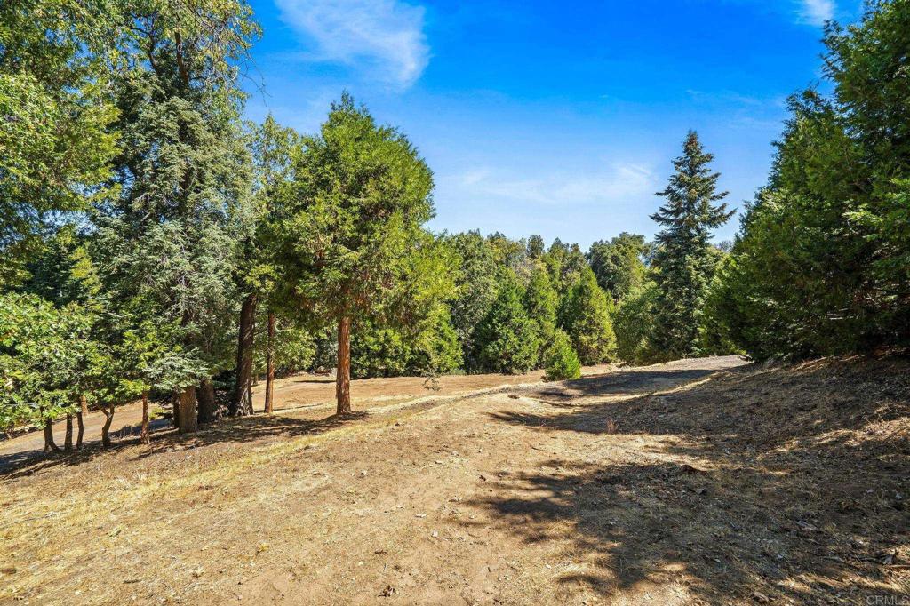 22520 Greenfield Property Photo 1