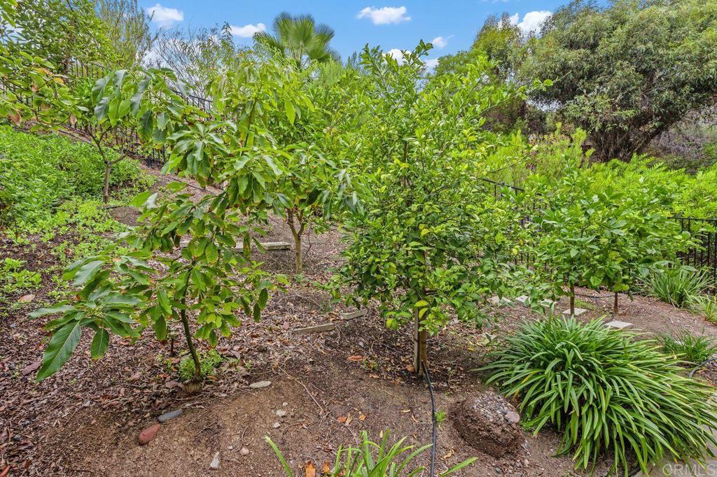 2946 Crystal Ridge Road Property Photo 51