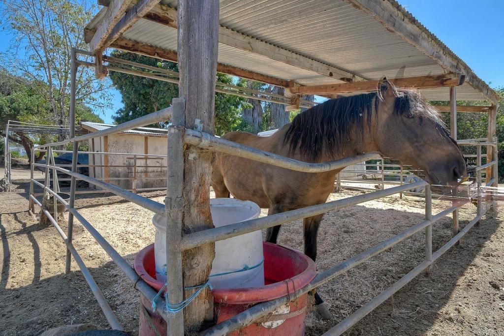 554 Taylor Street Property Photo 7