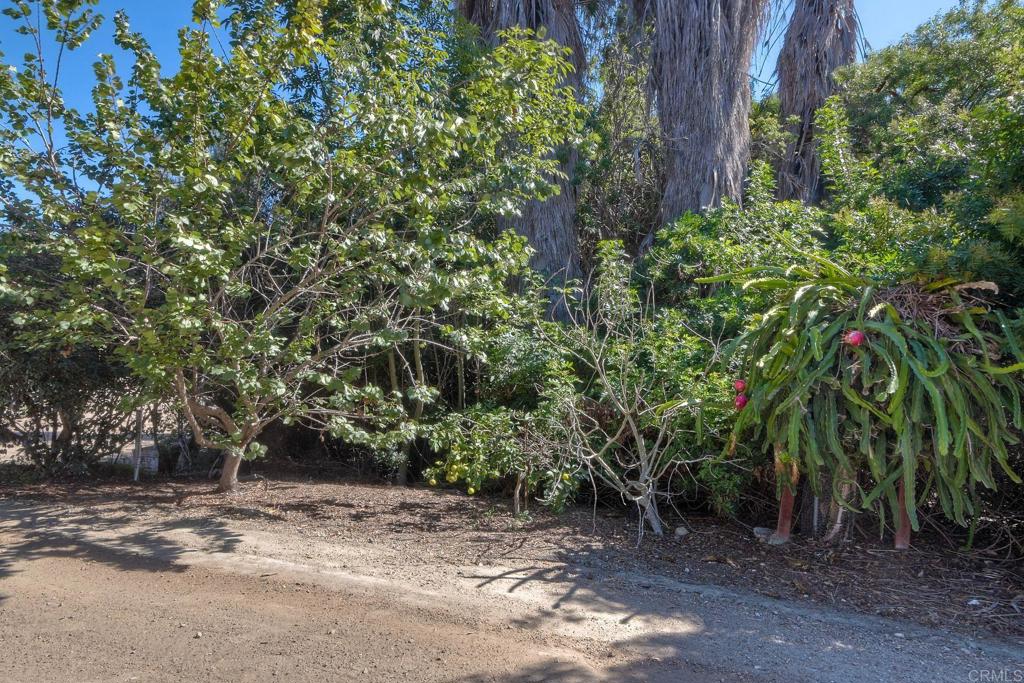 554 Taylor Street Property Photo 33