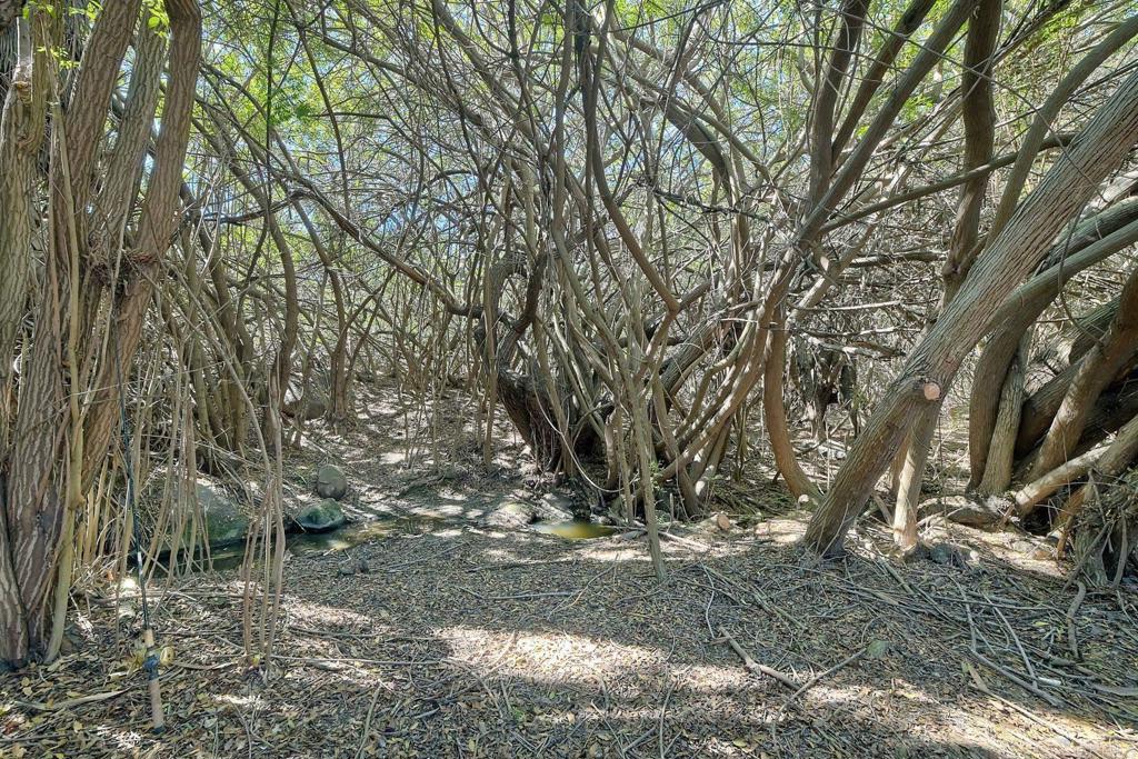 554 Taylor Street Property Photo 34